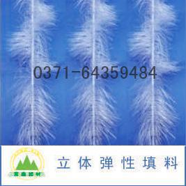 ���w��������